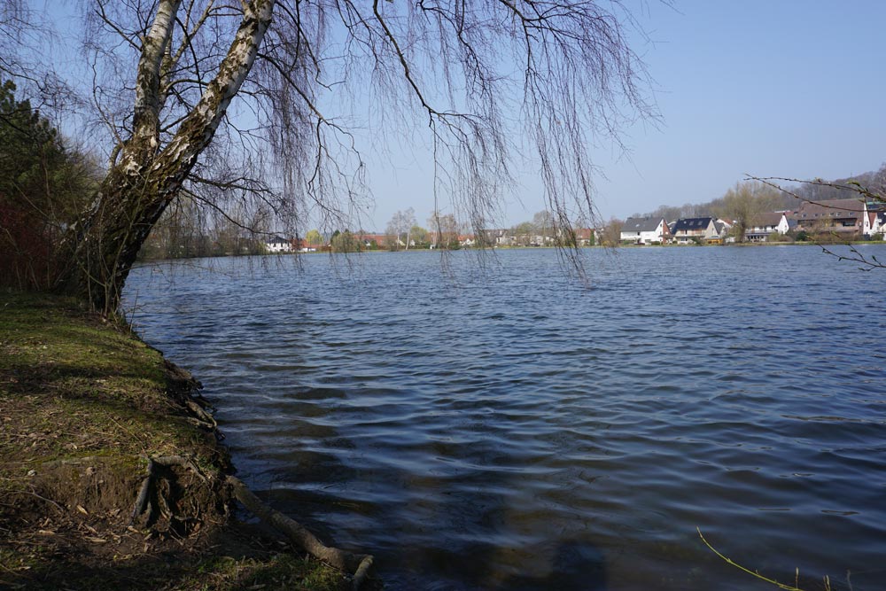 Sonnensee-Bissendorf_Immotrendhome-1 Münster Stadt Hafen Stadtansicht Architektur Kanal
